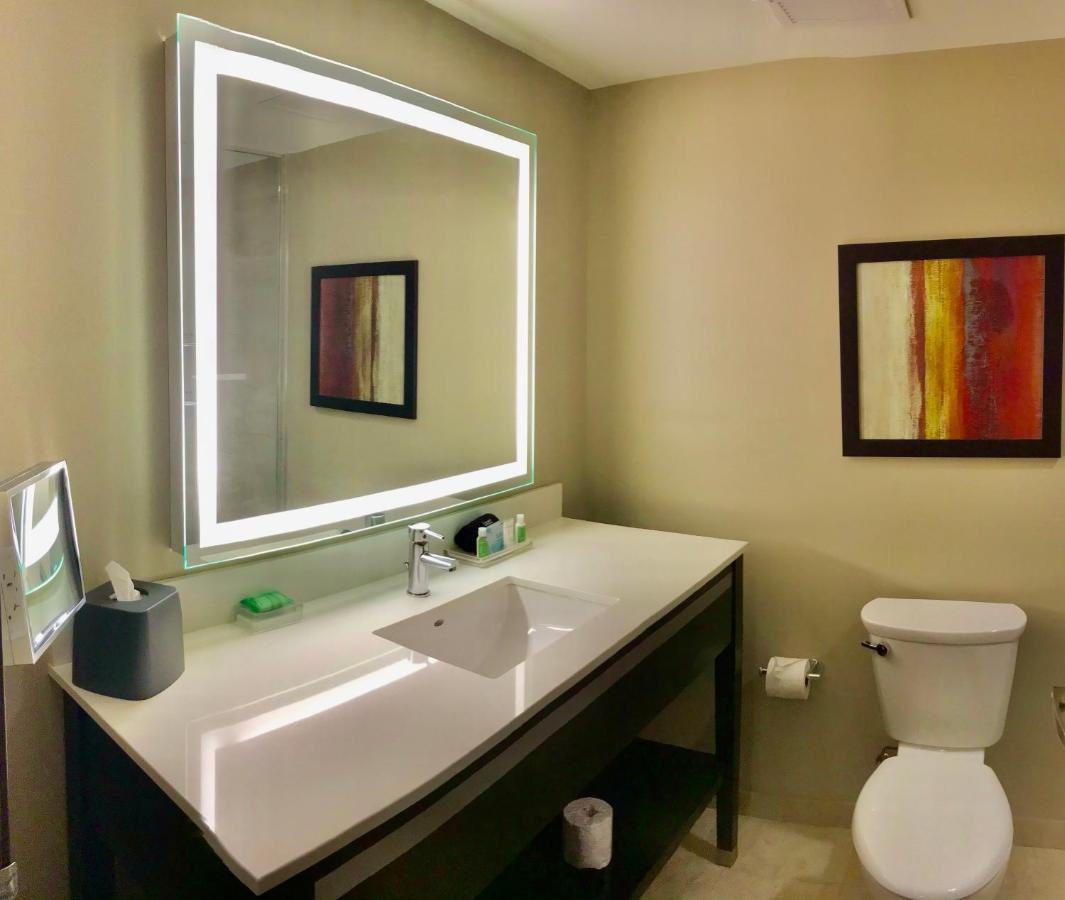 Holiday Inn Chicago Schaumburg By Ihg Dış mekan fotoğraf